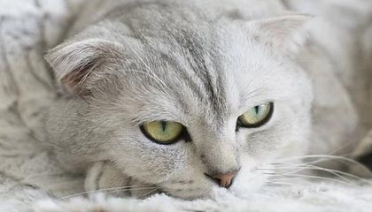 越往下看越不对劲，51爆料为什么会在这时候被重新提起，越往回翻越能感觉哪里不太对。