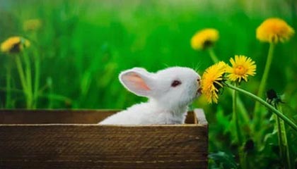 刚开始没多少人在意，51爆料这次一下把情绪拉满了，直接把讨论点燃，越想越觉得后面还有东西。