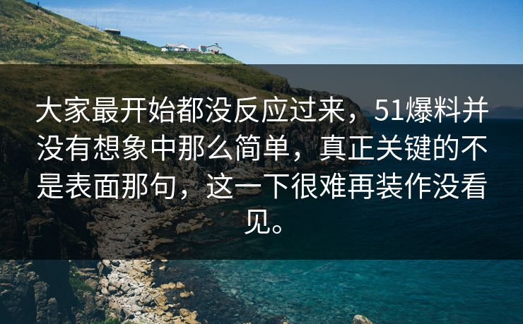 大家最开始都没反应过来，51爆料并没有想象中那么简单，真正关键的不是表面那句，这一下很难再装作没看见。