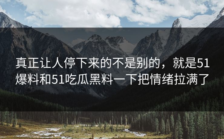 真正让人停下来的不是别的，就是51爆料和51吃瓜黑料一下把情绪拉满了