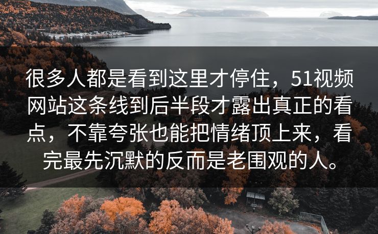 很多人都是看到这里才停住，51视频网站这条线到后半段才露出真正的看点，不靠夸张也能把情绪顶上来，看完最先沉默的反而是老围观的人。