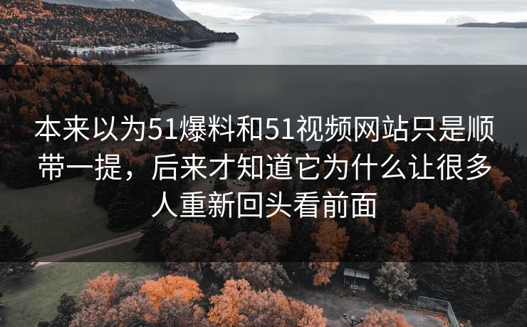 本来以为51爆料和51视频网站只是顺带一提，后来才知道它为什么让很多人重新回头看前面